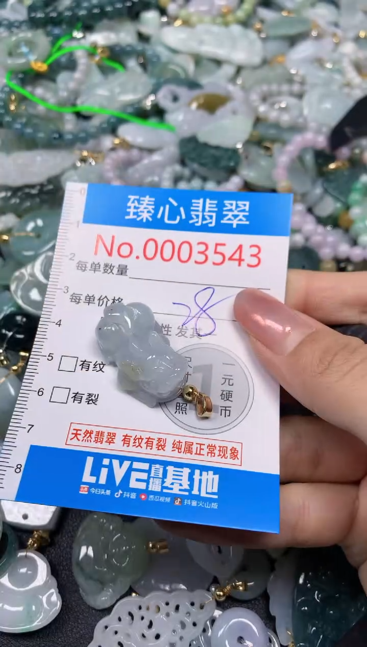 【闪购商品】翡翠颈饰未镶嵌含绳0003543