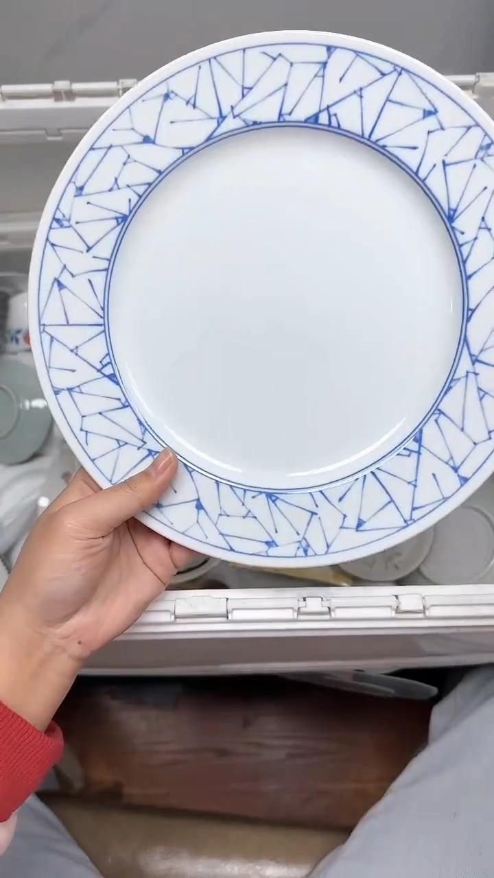 【闪购商品】039回流瓷器默认微瑕，18.8包邮