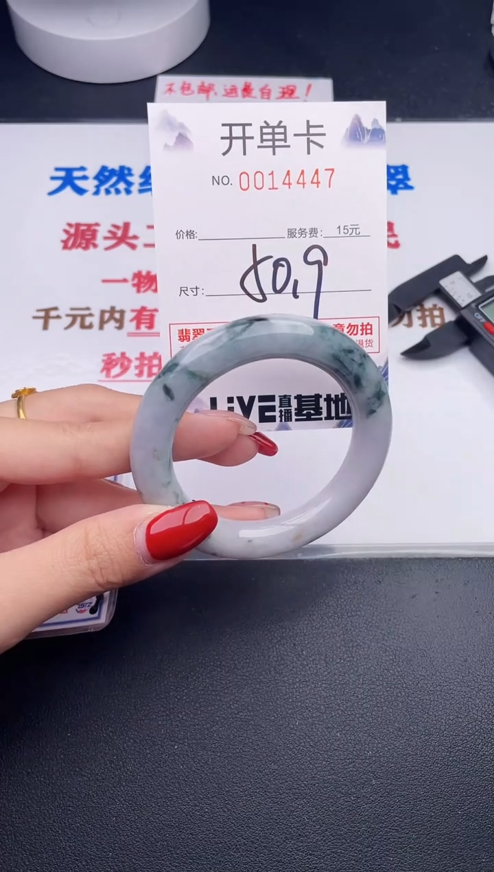 未镶嵌手镯翡翠47