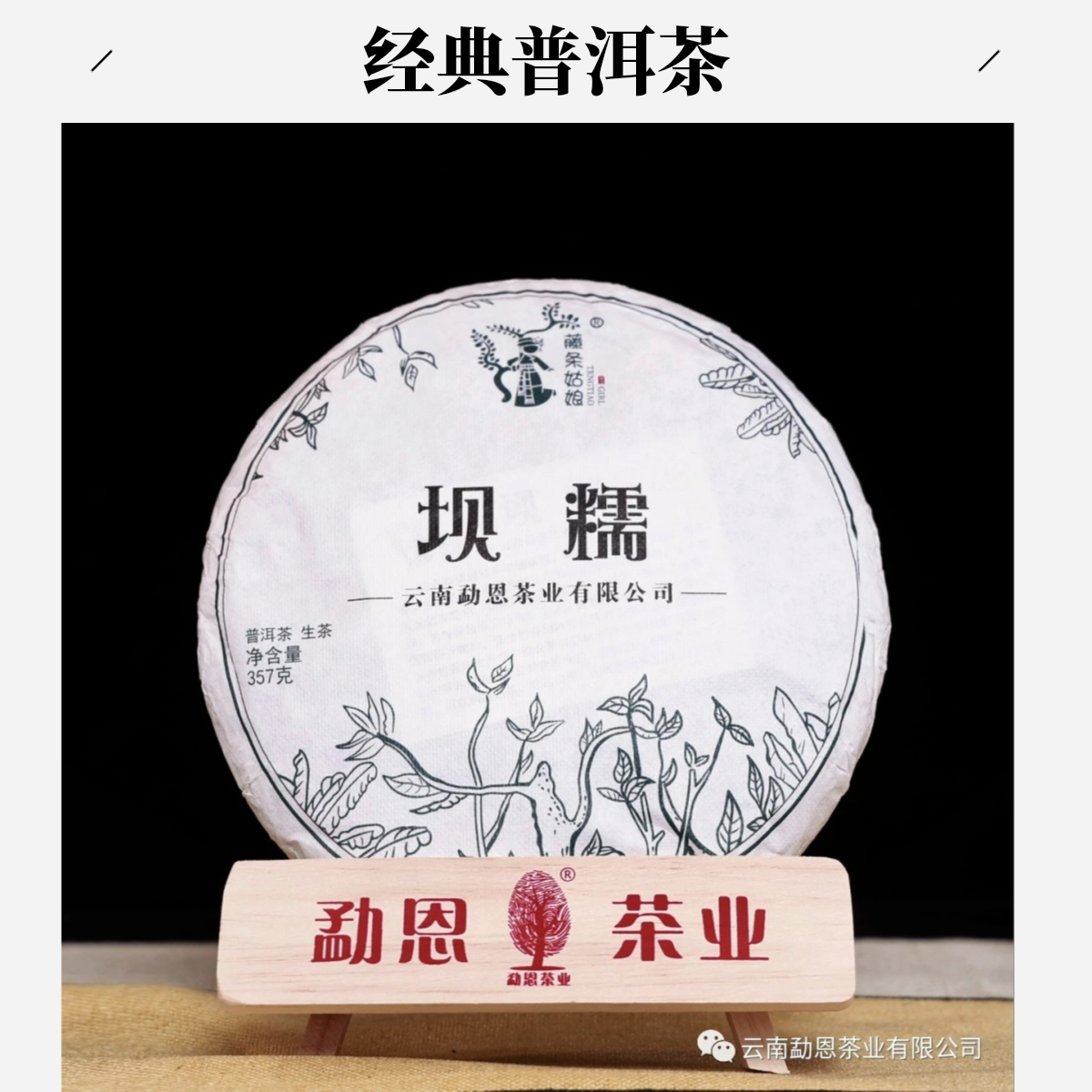 【坝糯】云南普洱茶生茶古树纯料源头产地入口甘甜耐泡坝糯