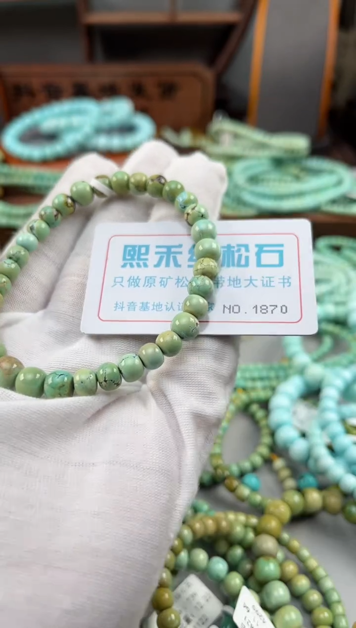 【闪购商品】绿松石松石未镶嵌1870