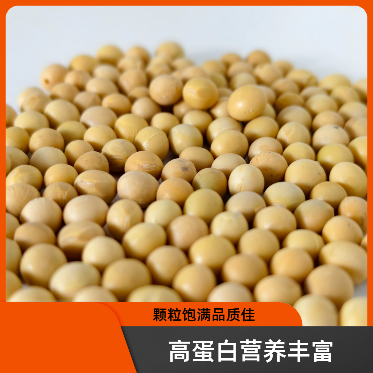 2025黄豆散装高蛋白颗粒饱满