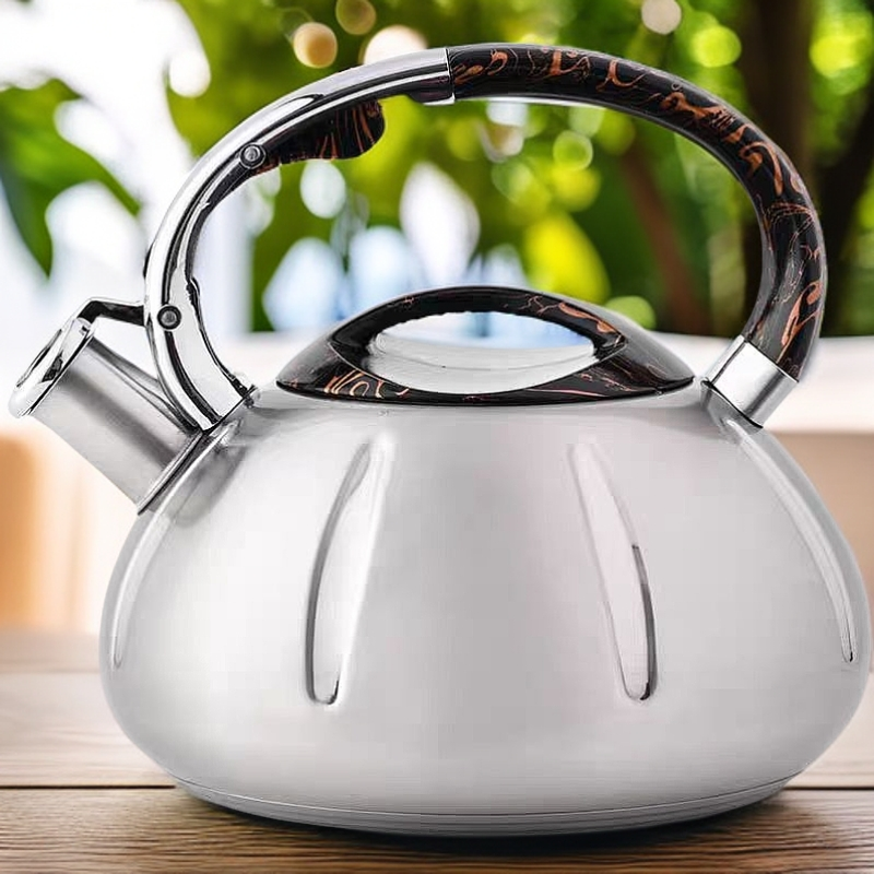 高颜值水壶 家用烧水壶 3升