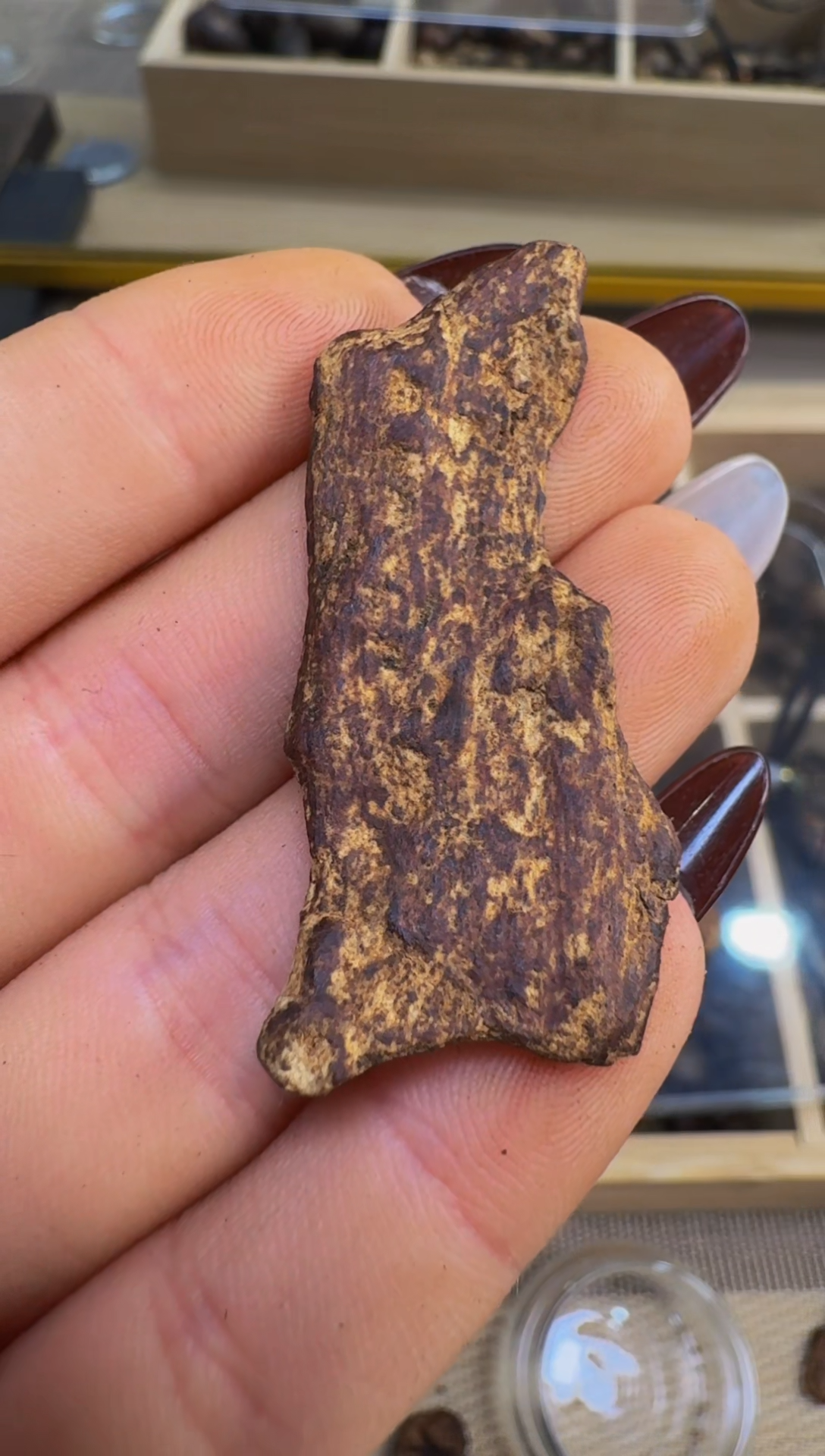 【闪购商品】沉香吊坠越南惠安红土