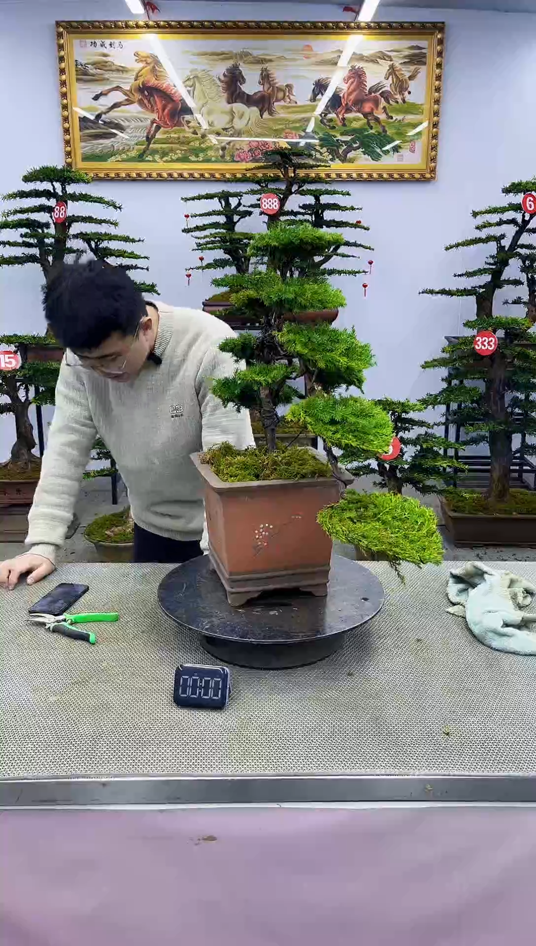 【闪购商品】一物一拍，所见即所得一物一拍，所见即所得