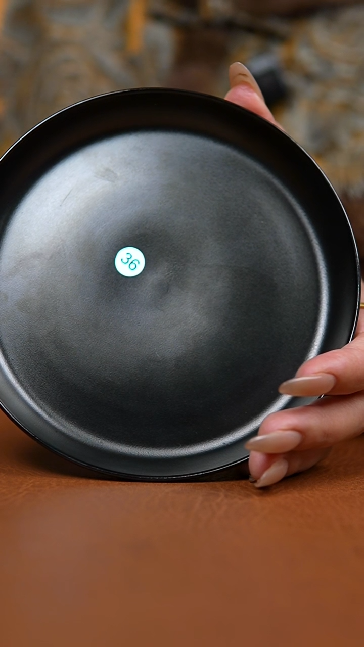 瓷片乌金釉凤华碟微瑕36