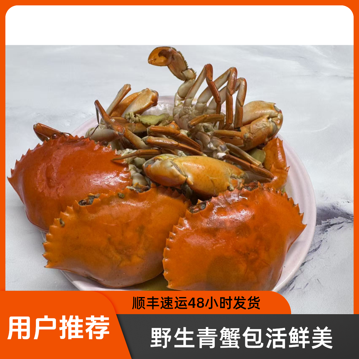 皮皮家*青蟹顺丰发货