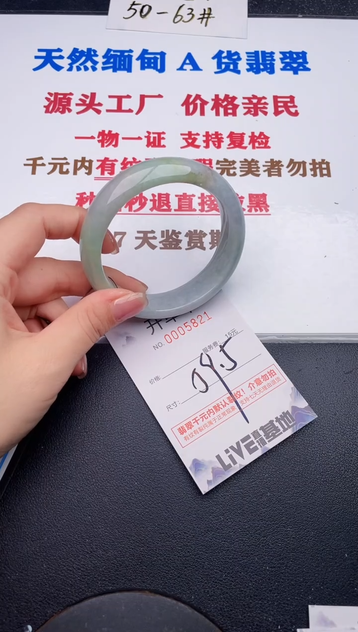 未镶嵌手镯翡翠21