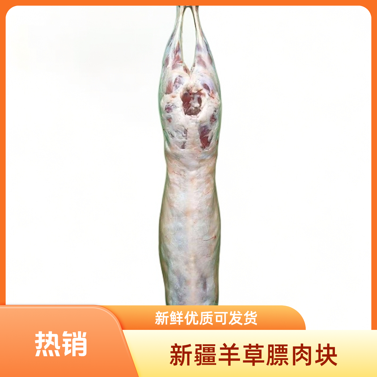 10.75-13.5公斤新疆驹骊山羊绵羊半羊/整羊/切块50%腿排顺丰包邮