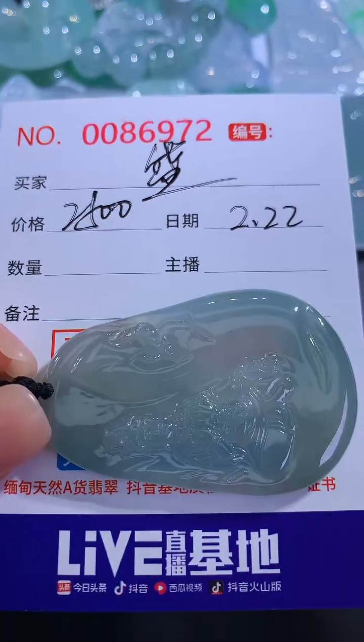 【闪购商品】翡翠颈饰未镶嵌盛