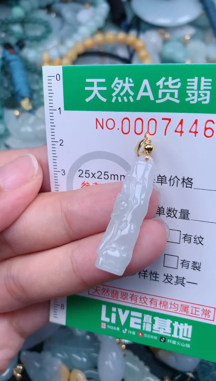 翡翠未镶嵌颈饰.0007446