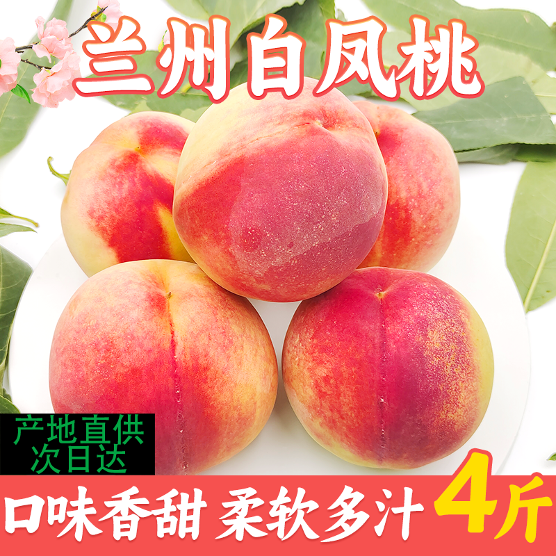 【次日达】正宗兰州白凤桃白粉桃水蜜桃时令新鲜水果当季整箱甘肃现摘桃子桃子甘肃省