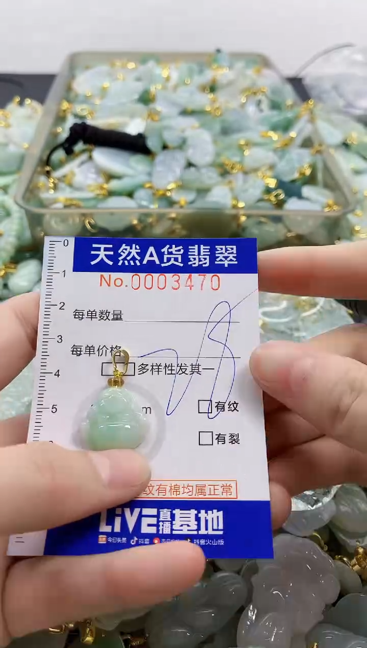 颈饰未镶嵌翡翠天然A货翡翠