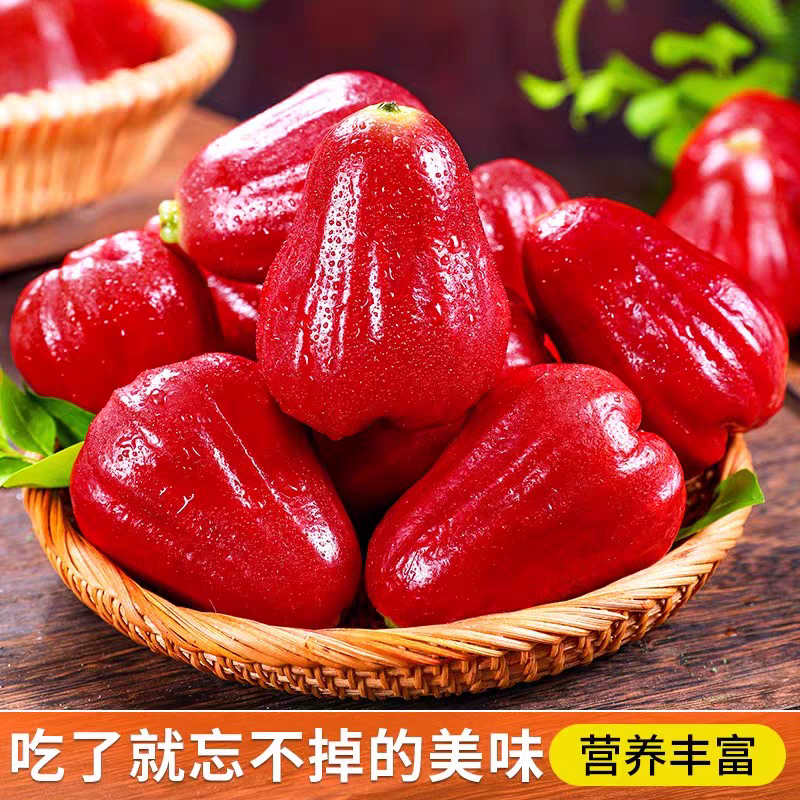 【顺丰包邮】海南三亚黑金刚莲雾清甜脆爽多汁新鲜应季仙女果水果