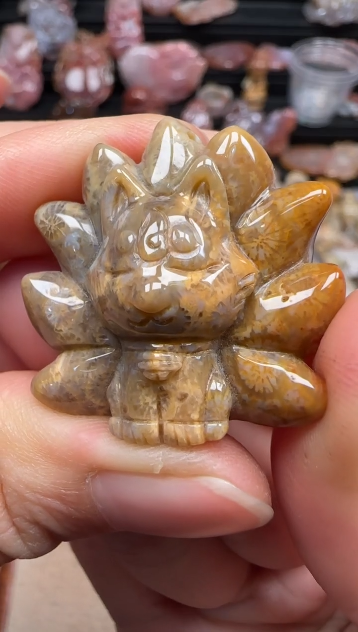 【闪购商品】硅化珊瑚（珊瑚玉）颈饰未镶嵌190