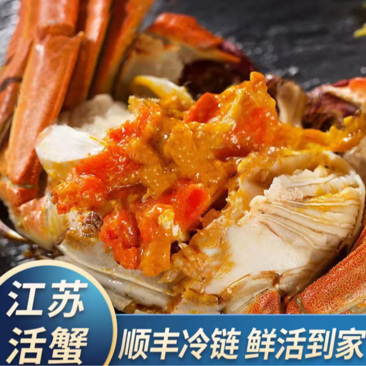 【活蟹】江苏精品大闸蟹 巨无霸6.0-5.7两公蟹+5.0-4.7两母蟹 拍6只送2只到手8只 顺丰京东空运
