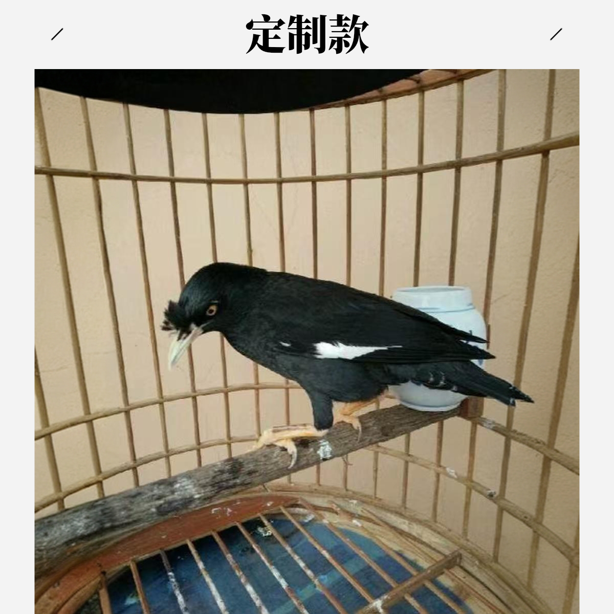 定制款家庭小黑 小林摆件定制款购买请看购买需知简约轻奢定制款