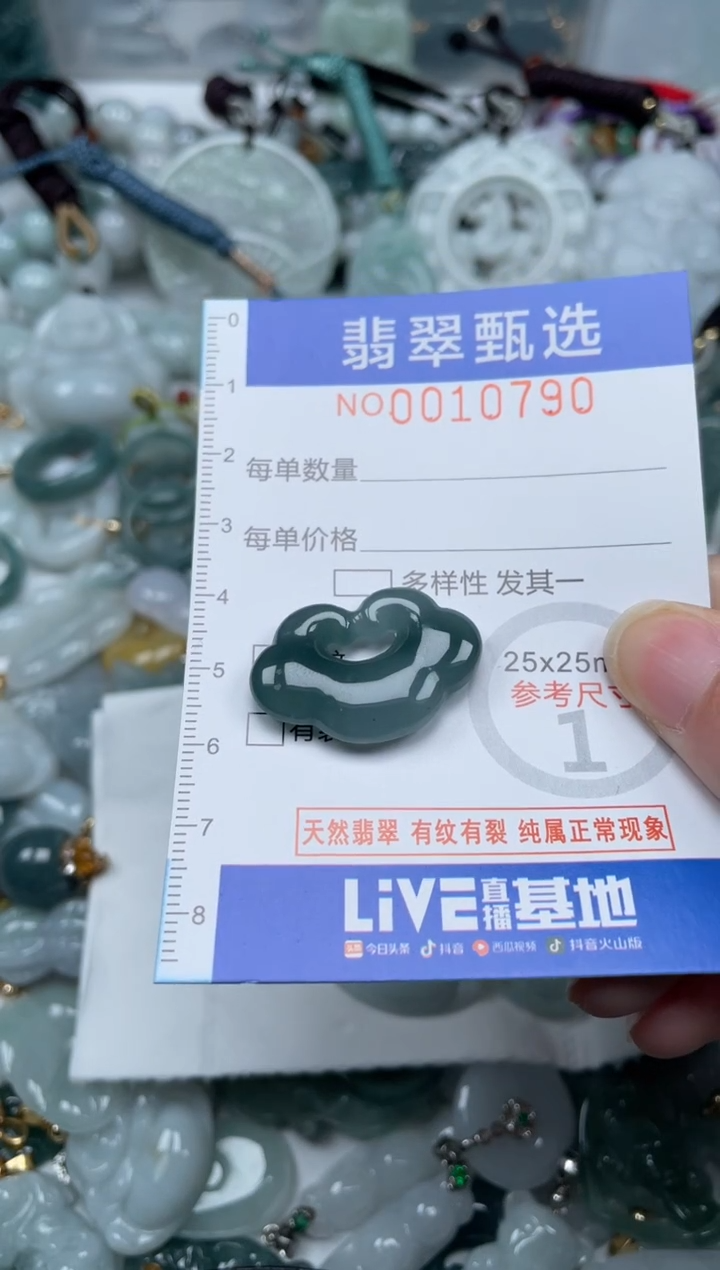 颈饰未镶嵌翡翠10790