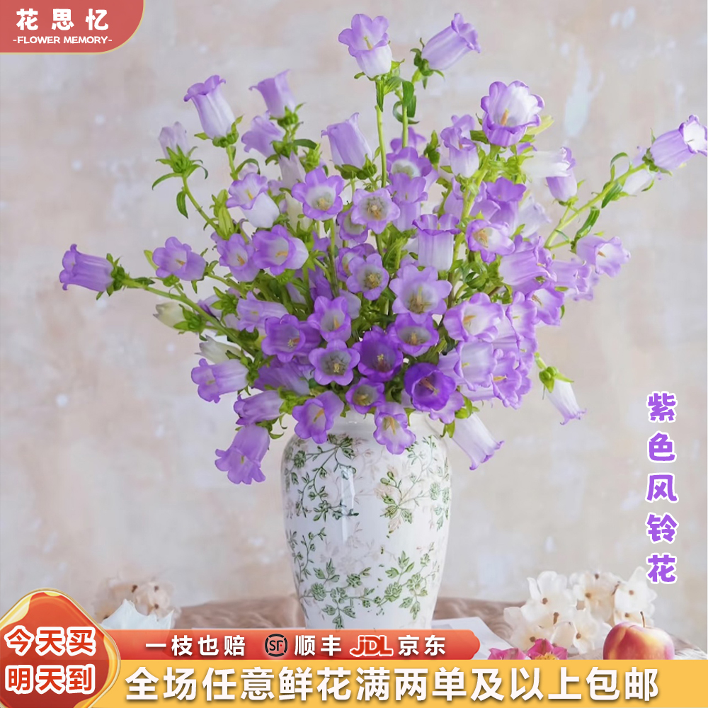 特价『紫色风铃花一把』仙气飘飘小铃铛 品质家居鲜花 满两单鲜花顺丰京东送货上门 三单鲜花送玻璃花瓶