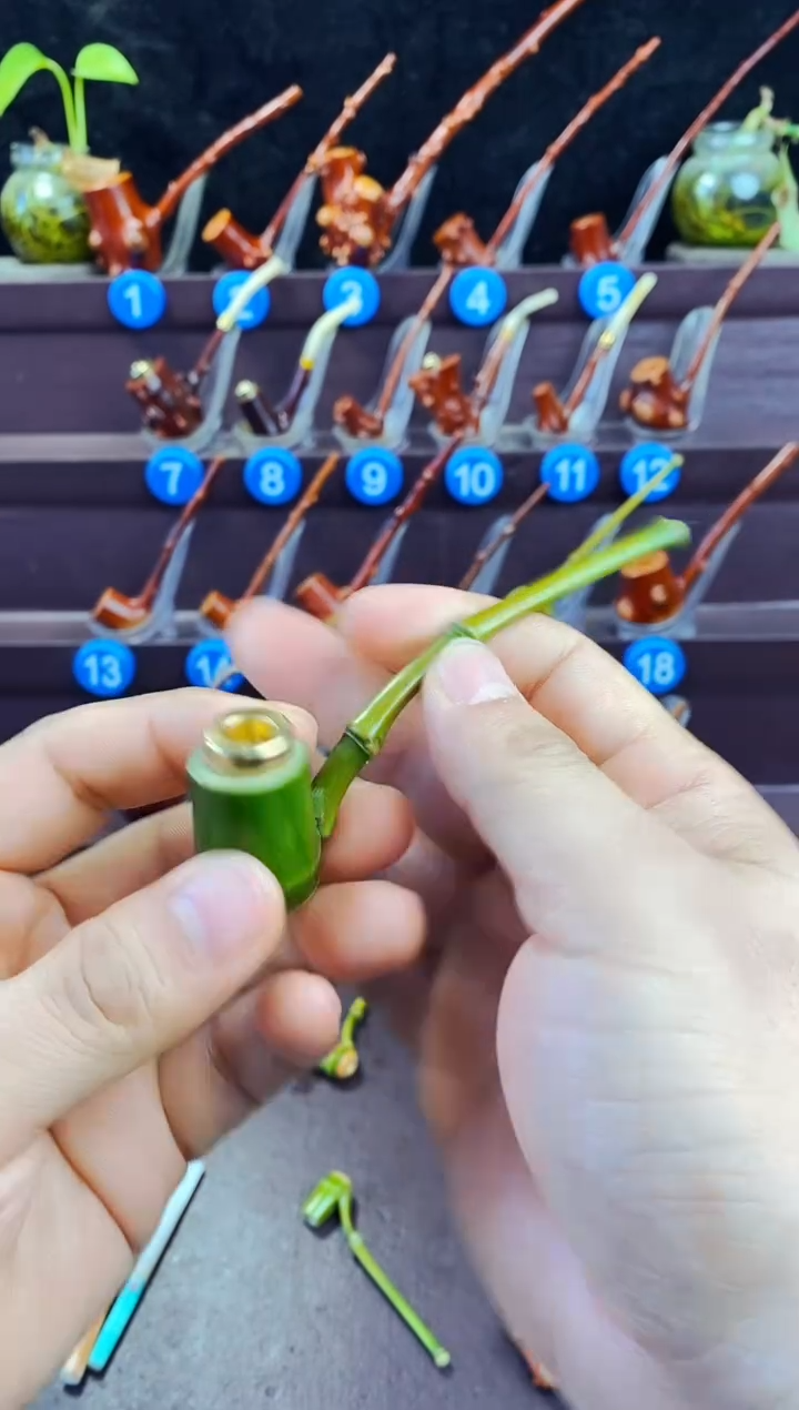 木徐****长檬子木的精品小斗