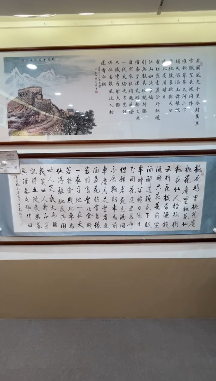 【闪购商品】书法[桃花庵歌]乔武老师作品