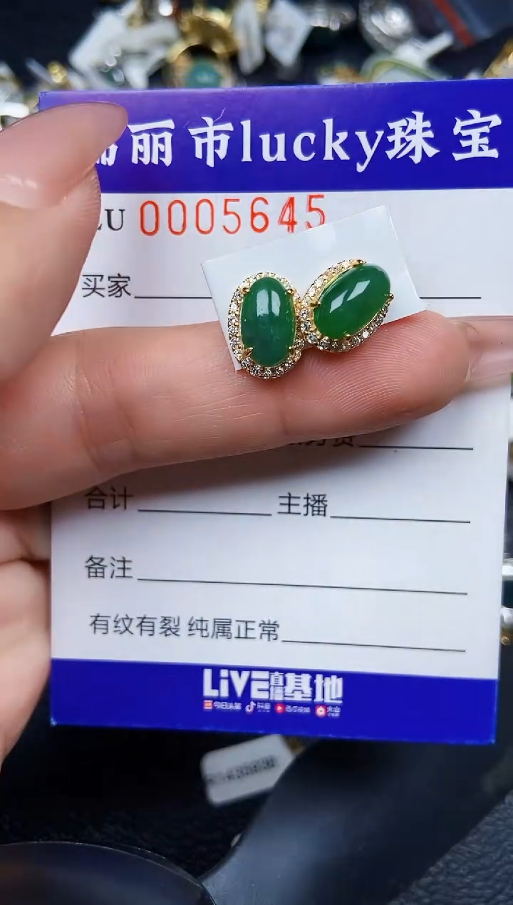 翡翠银S925镶嵌颈饰5645