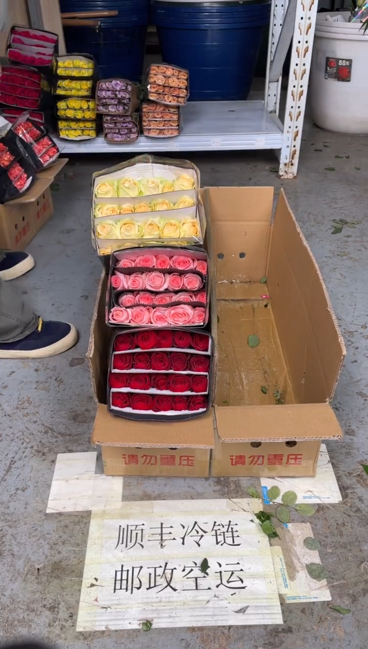 高原红20枝+戴安娜20枝+香槟20枝