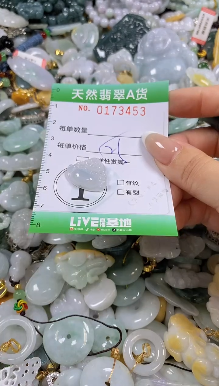 翡翠未镶嵌颈饰闪购0173453多样性发其一