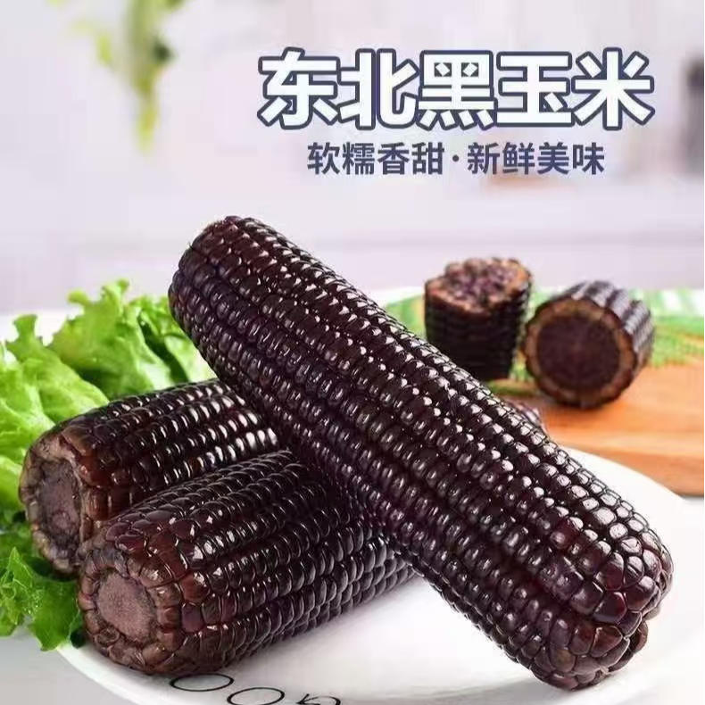 【整箱8-9斤】25年头茬黑糯玉米(280-350g)拍10送4发14支试吃4支