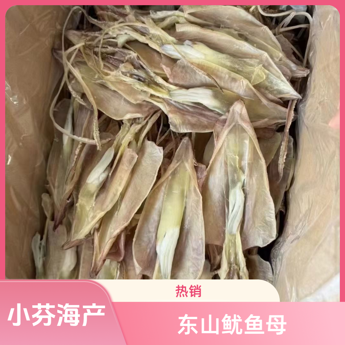 福建东山岛鱿鱼母250g半斤/500g1斤/包