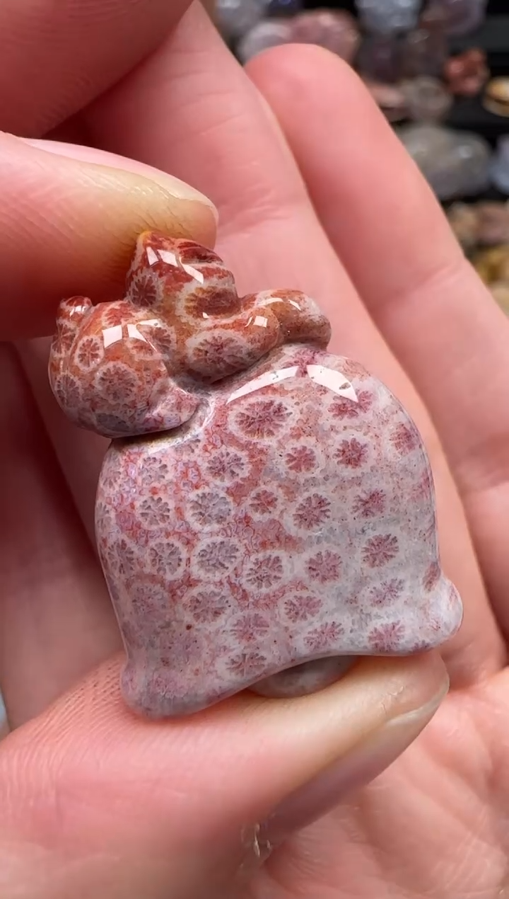 颈饰未镶嵌硅化珊瑚（珊瑚玉）631