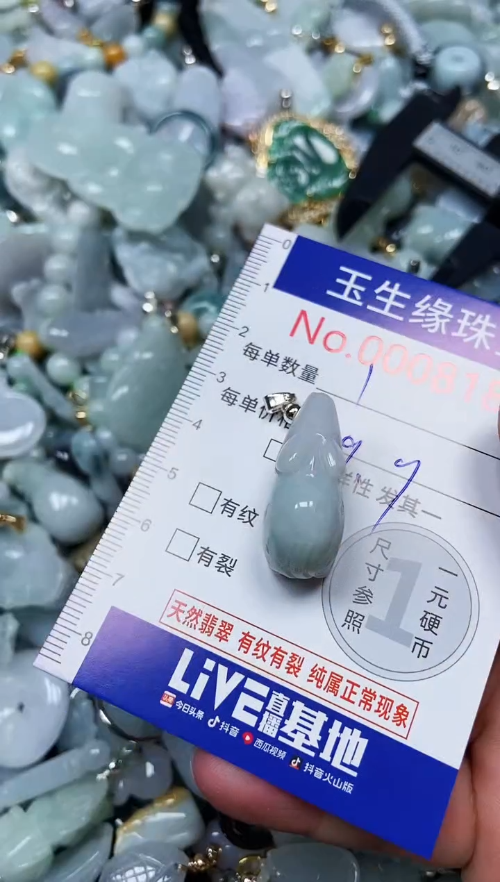 【闪购商品】翡翠颈饰未镶嵌闪购00008180