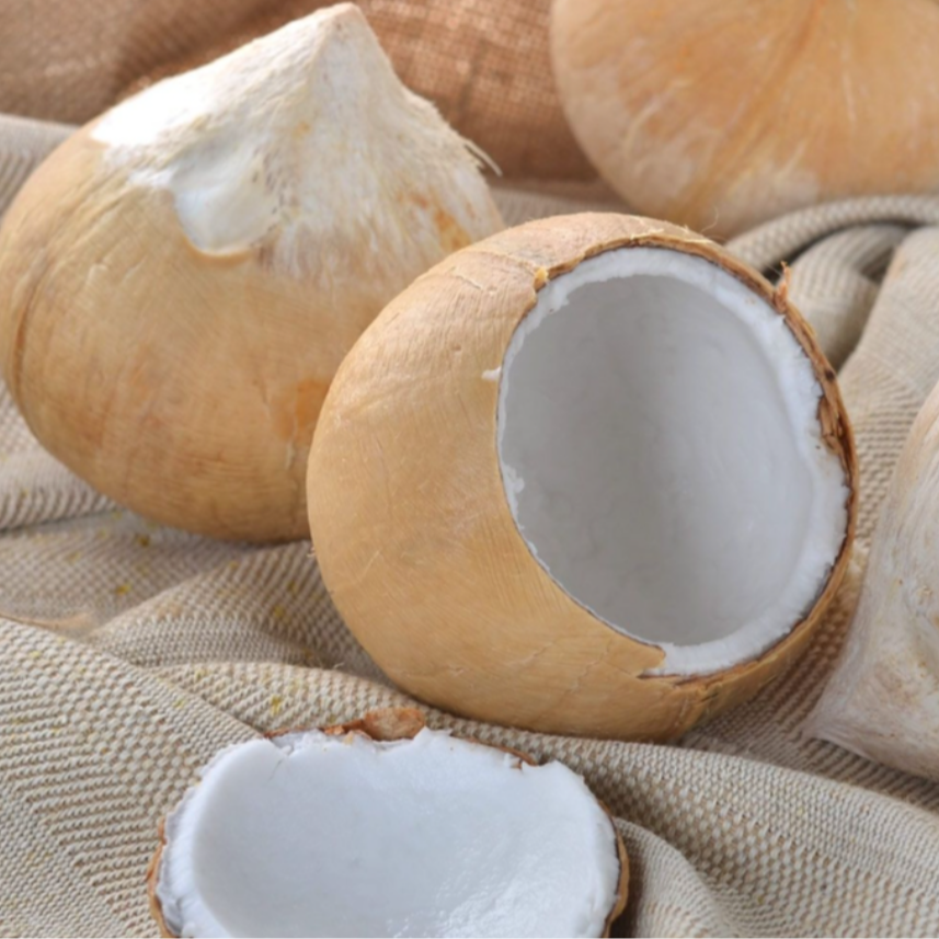 【今天拍明天到】泰国进口新鲜老树椰皇大果一份5粒 净重5斤以上