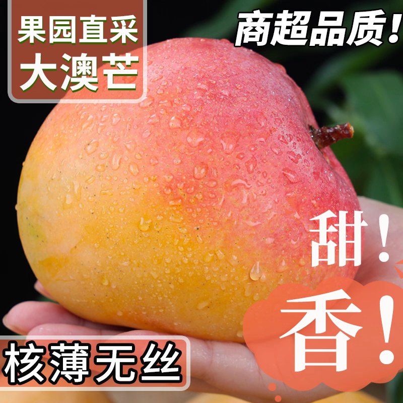 云南苹果芒澳芒新鲜采摘当季应季水果特大号凯特芒果