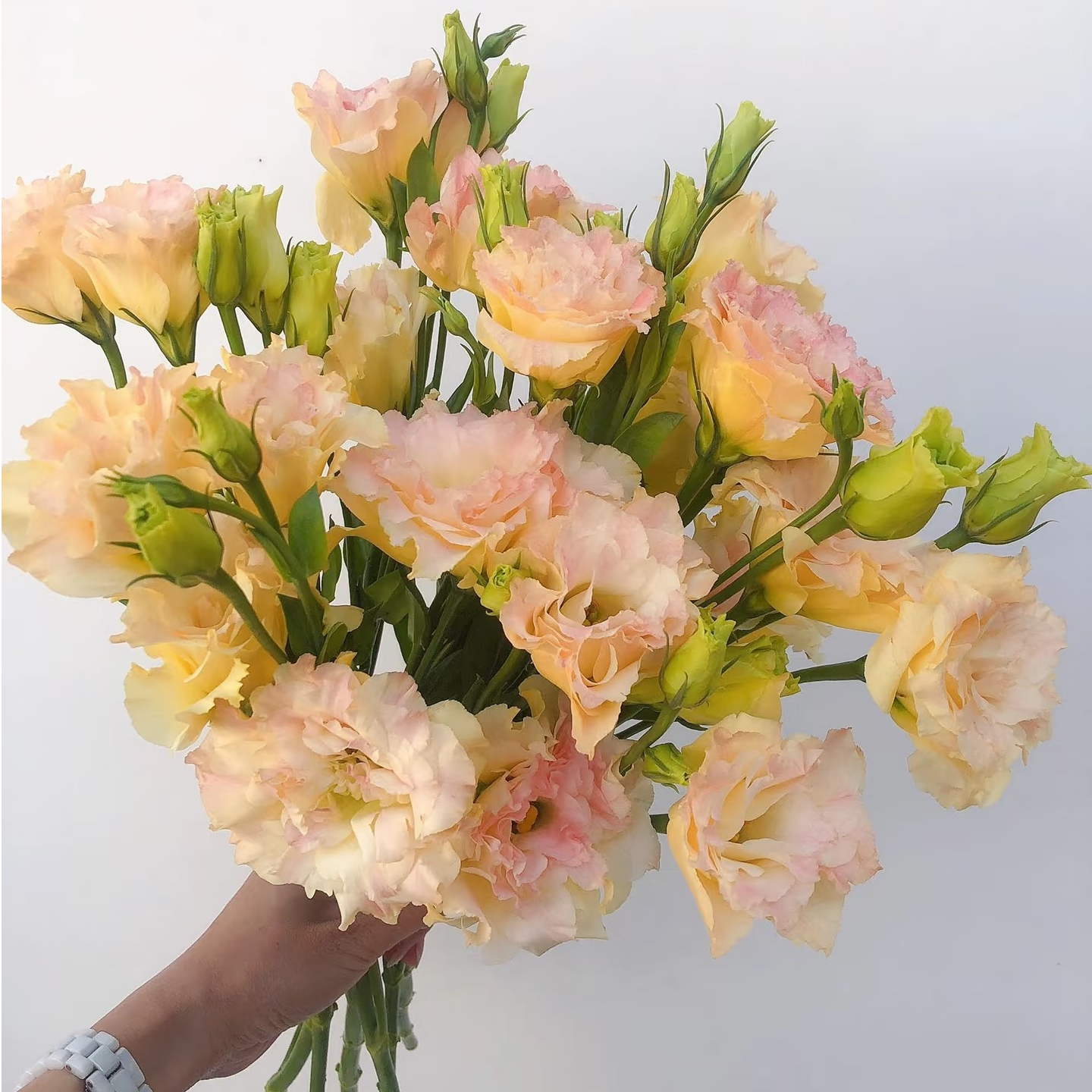 家居办公生活精选洋桔梗一把多色可选