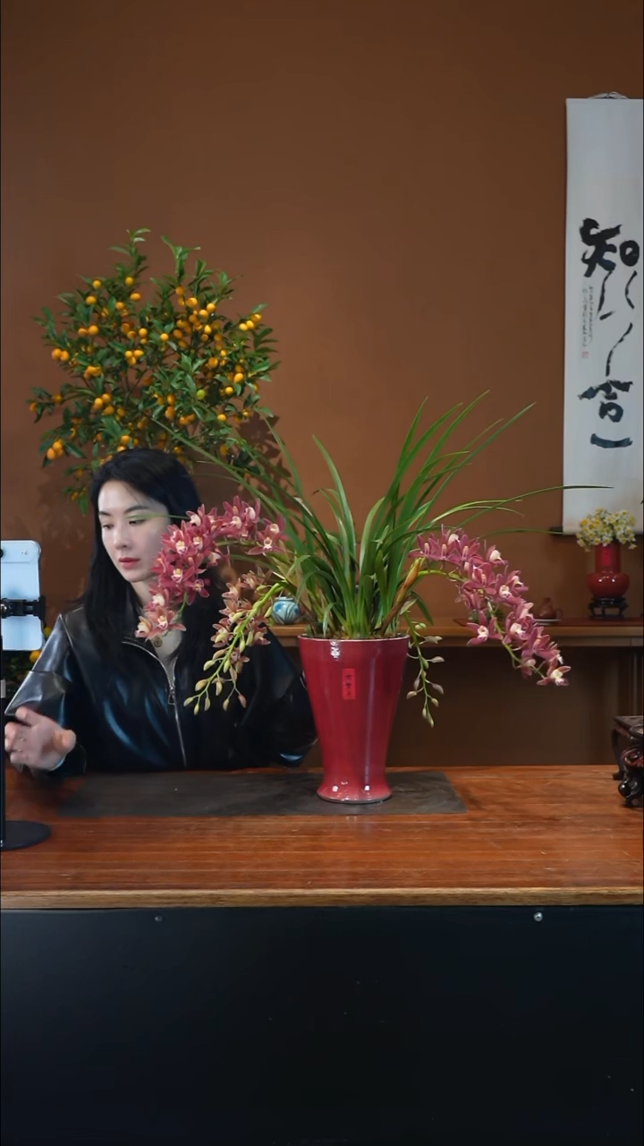 全部花朵红双喜盆景盆景