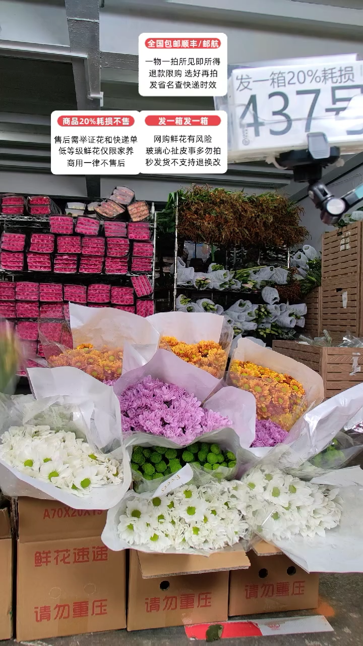 437号♥含20%耗损发一箱