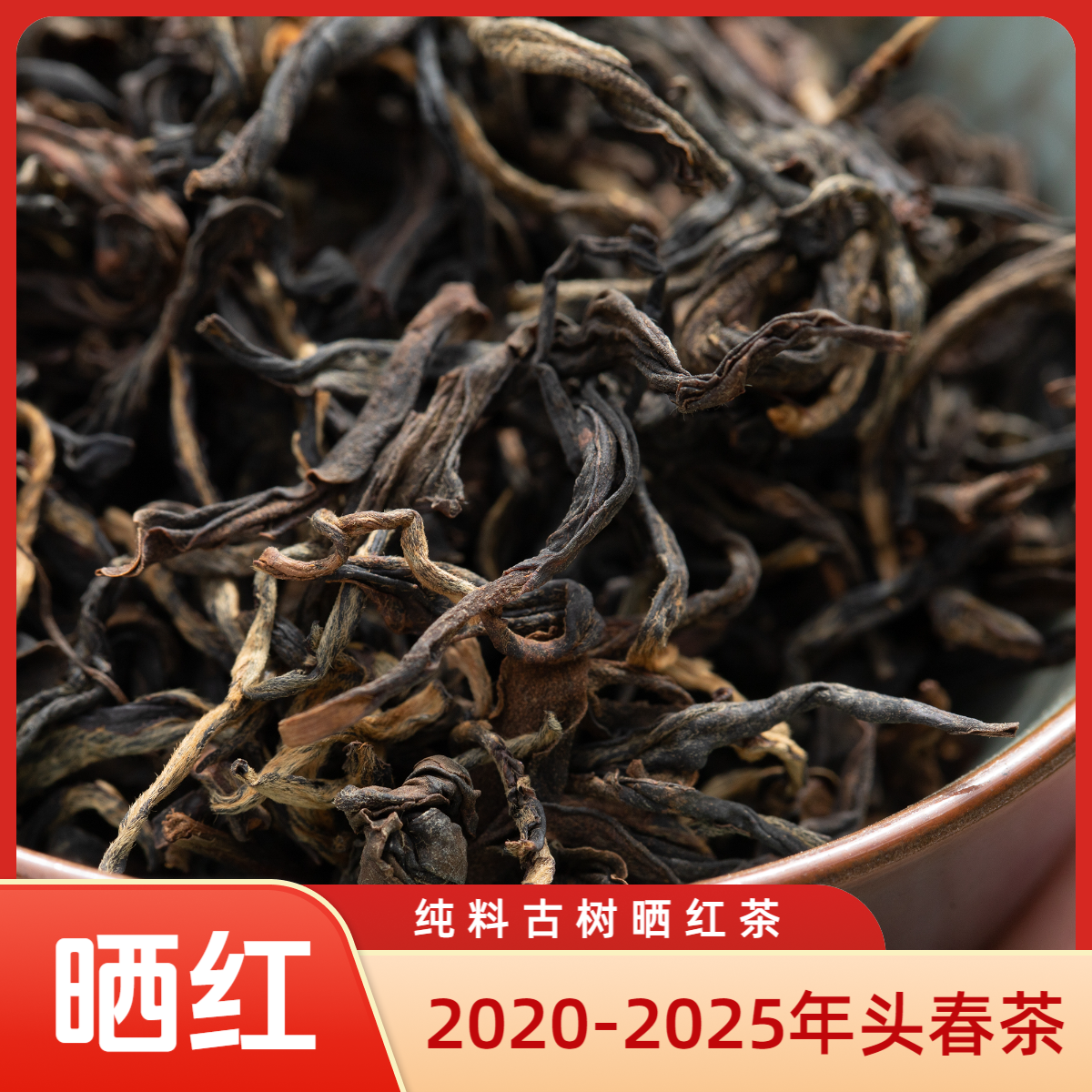 头春茶[古树红茶]景迈山普洱茶云南滇红古树红茶晒红茶叶源头直销