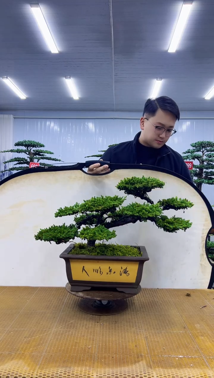 无花朵0000000000000