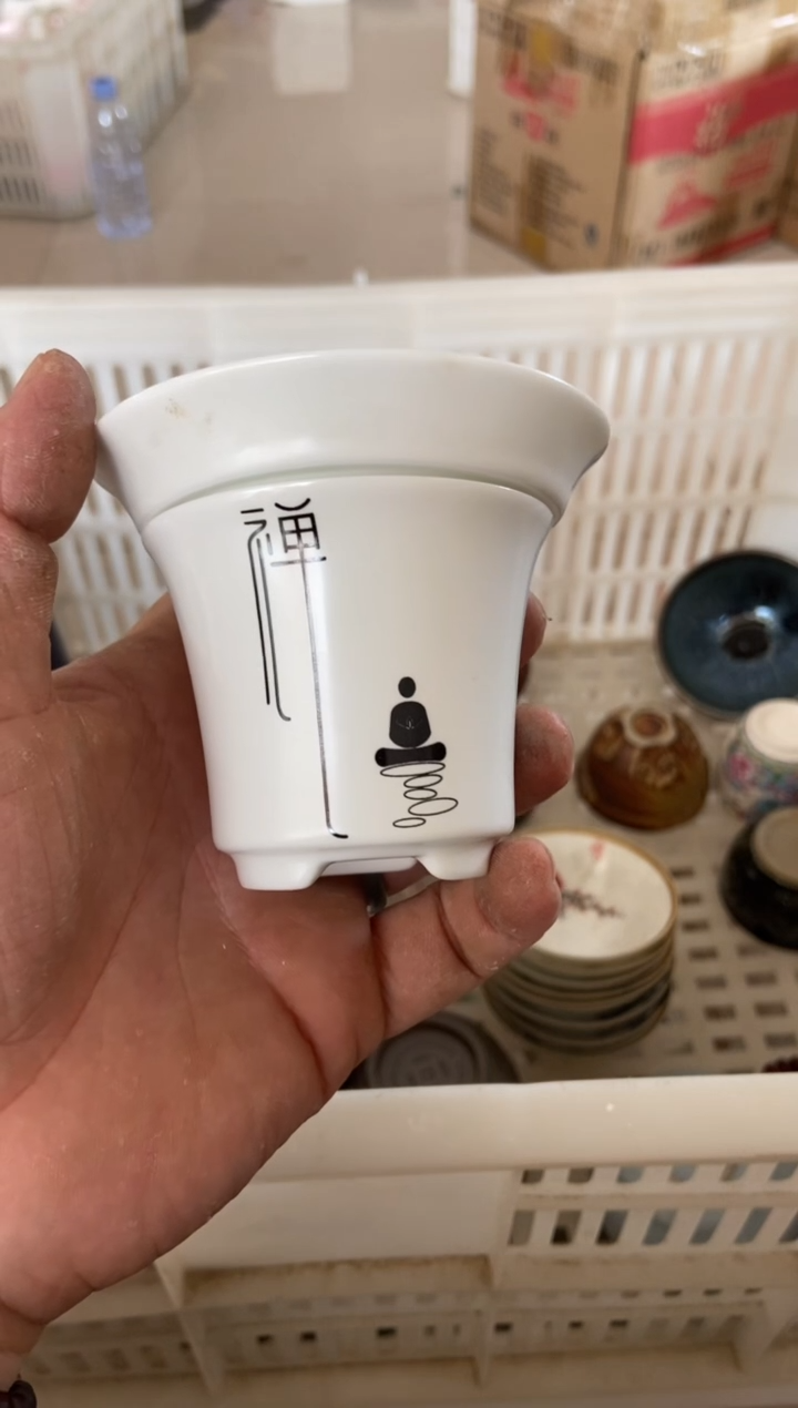 杯无运费险有瑕疵的摄影的产品有使用过的痕迹有点脏介意勿拍
