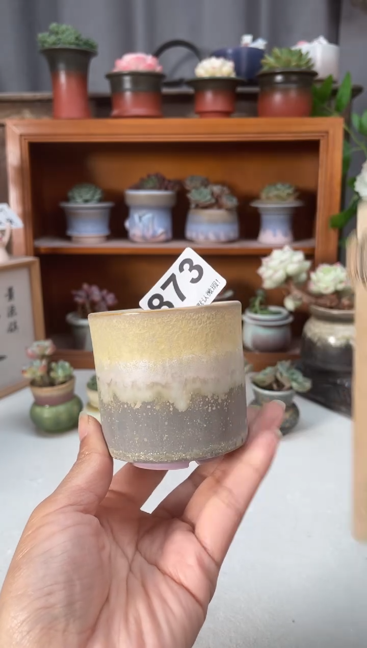 瓷片873知木小芳花盆