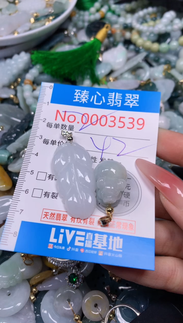 【闪购商品】翡翠颈饰未镶嵌含绳0003539