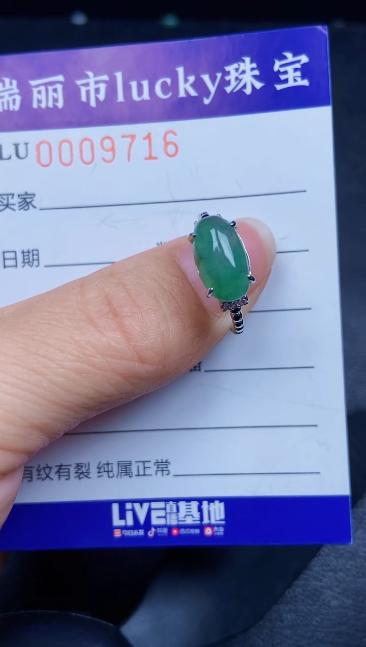 【闪购商品】翡翠颈饰银S925镶嵌9716