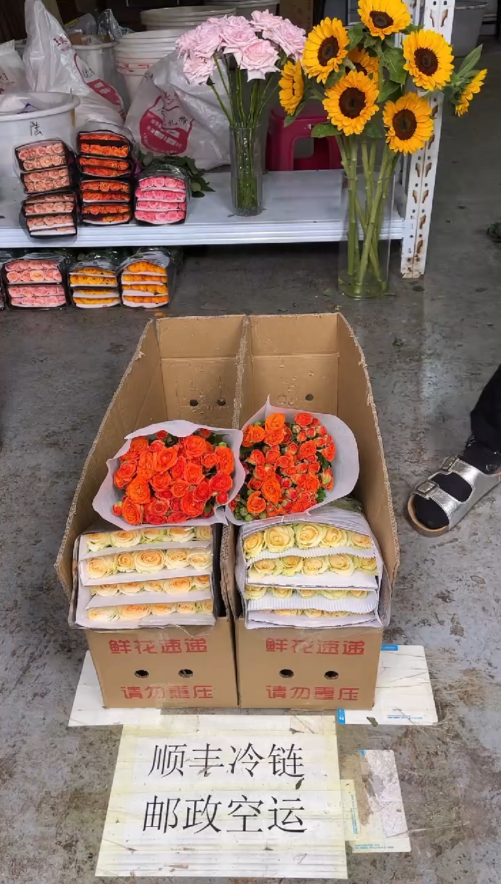 香槟20枝+橙色芭比10枝+绿送洋桔梗400克+黄莺