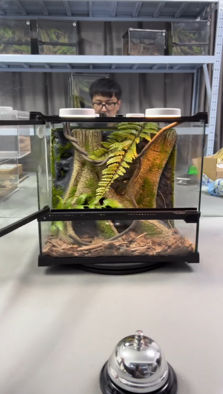 玻璃【长30宽25高27】爬宠造景缸睫角守宫树栖蜘蛛饲养箱爬宠爬虫缸