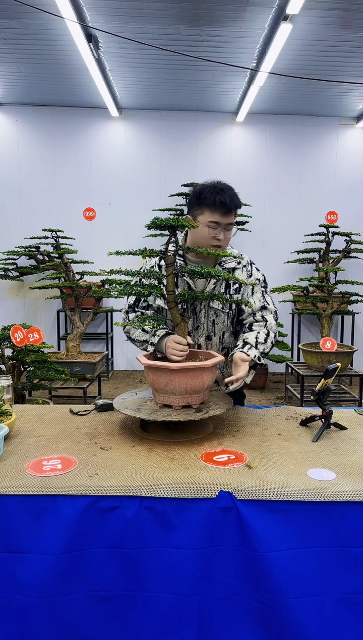 无花朵一物一拍，所见即所得