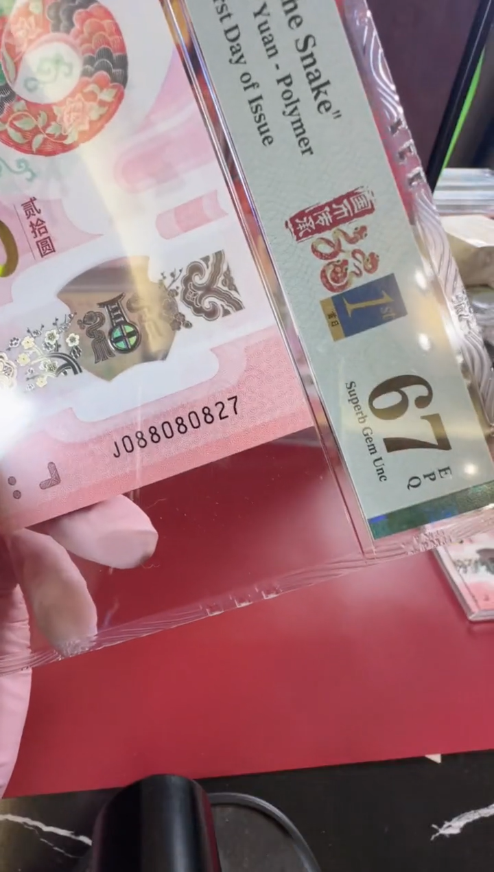 【闪购商品】塑料2025蛇钞单张裸啊啊啊啊啊
