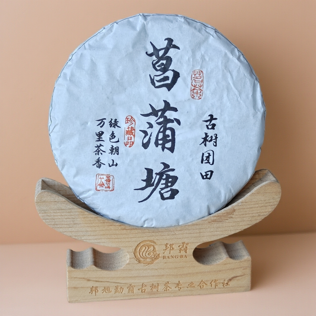 【大朝山专属】2025年 菖蒲塘.古树头春普洱生茶饼茶200克