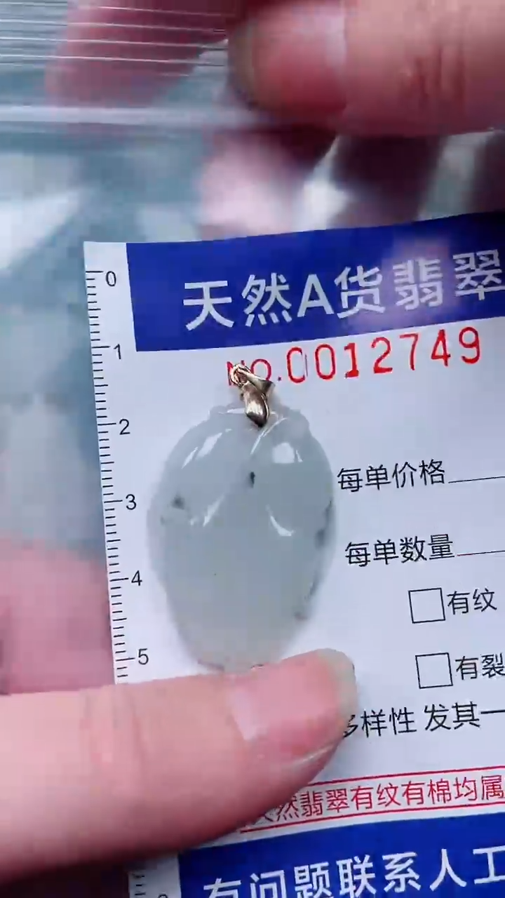 翡翠未镶嵌吊坠(赠链)1