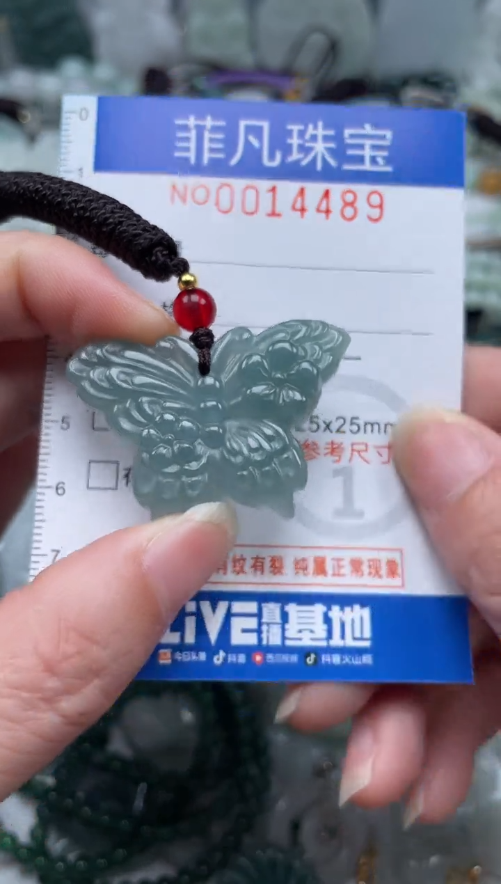 颈饰未镶嵌翡翠14489